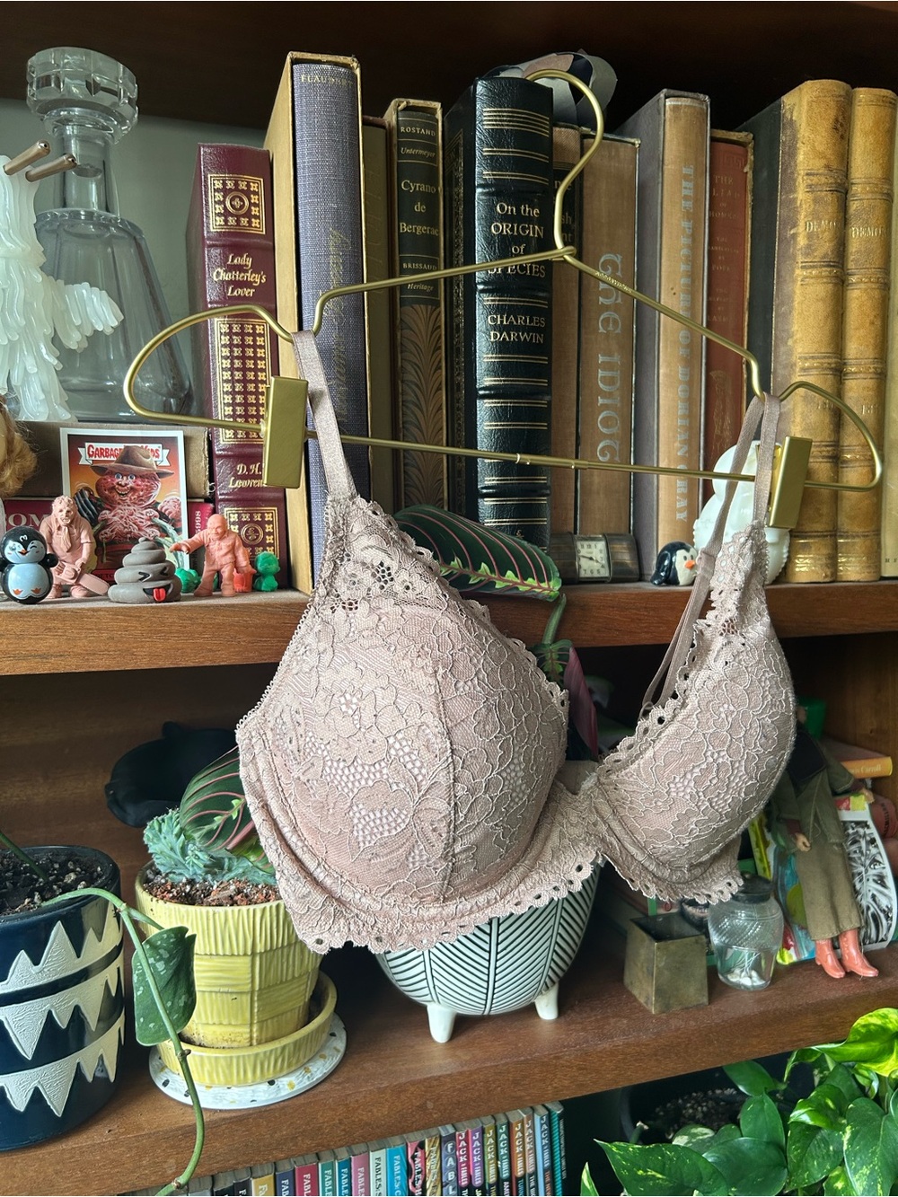 B.Tempt’d Lace Underwire V Bra with Scalloped Edges in Taupe 32DD